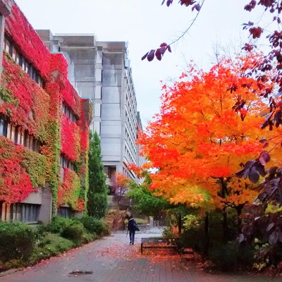 Profile Picture of Ian Huang (@Ian_UIT_YORKU) on Twitter