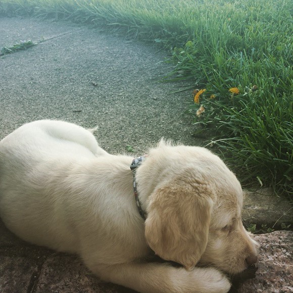 Profile Picture of Joshua Burch (@burch20) on Poshmark