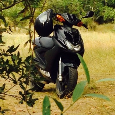 Profile Picture of Pico (@pico_michael) on Twitter