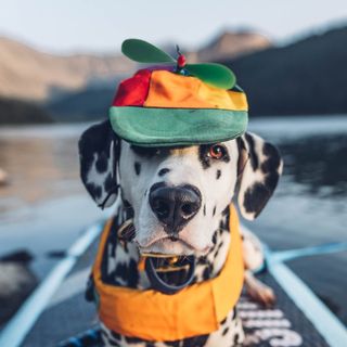 Profile Picture of Wiley ♥ (@hi.wiley) on Instagram