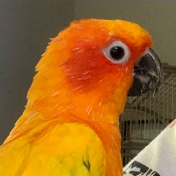 Carmine Scotto - Poshmark Profile Picture of Carmine Scotto (@ilovesoccer100) on Poshmark