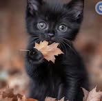 Profile Picture of Jinjin Tipan (@Jinjin-Tipan) on Facebook