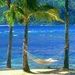 Profile Picture of Rose Ramirez (@spanishrose11) on Pinterest