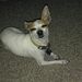 Profile Picture of Stephanie Openshaw (@countrysweet77) on Pinterest