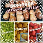 Profile Picture of Marketer Sunnah Food Premium (@athayu_zuriat) on Instagram