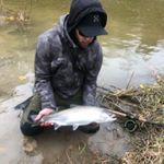 Profile Picture of Kyle Procter (@kpharold3) on Instagram