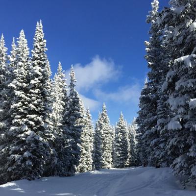 Profile Picture of Abbe Ross (@abbeross) on Twitter