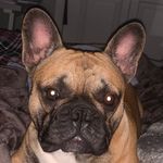 Profile Picture of Madison Paige Colley (@madison__colley_) on Instagram