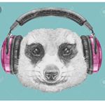 Profile Picture of ArFe (@daniel_roegner) on Instagram