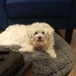 Profile Picture of Coretta Luna (@coretta.luna.5) on Instagram