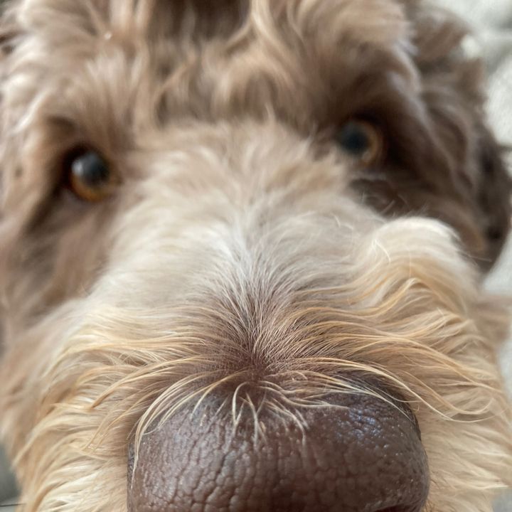 Profile Picture of Matthew Hayden (@mhayden21) on Tiktok