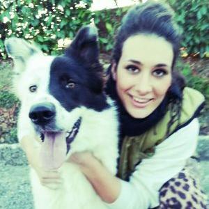 Profile Picture of Sara Luciani (@sara081290) on Twitter