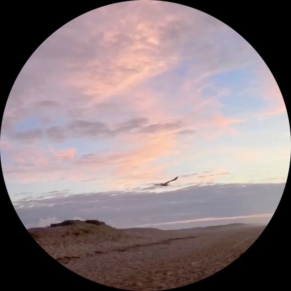 Profile Picture of Miriam Gorbach (@mgorbach13) on Poshmark