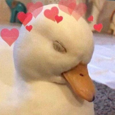 Profile Picture of Xixina (@XinXia14) on Twitter