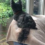 Profile Picture of Ruth Mary Hobby (@ruthmaryhobby) on Instagram