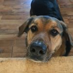 Profile Picture of Rudy Powell (@_rudy.powell) on Instagram