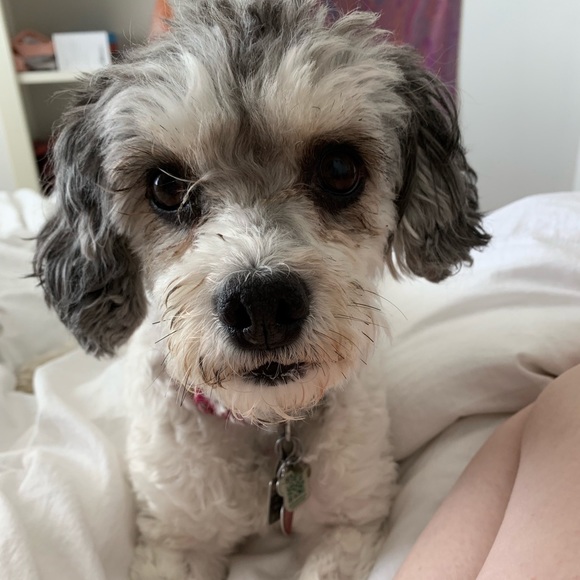 Profile Picture of Kimberley Fryer (@kfries615) on Poshmark