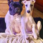 Profile Picture of Nelly Robert (@nellyrobert2) on Instagram