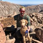 Profile Picture of Matthew Grigg (@noblechefnapa) on Instagram