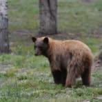 Profile Picture of Steven Conly (@steven.conly.140) on Facebook