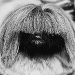 Profile Picture of sean tierney (@uncl_fred) on Instagram