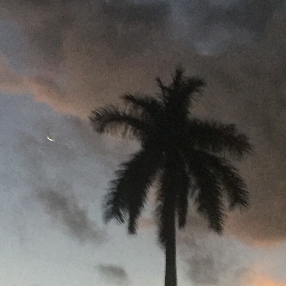 Profile Picture of Chrissy Rhome (@crhome) on Poshmark