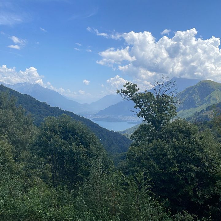 Profile Picture of ︎ ︎ (@fabio_bizzanelli19) on Tiktok