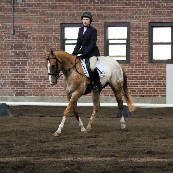 Profile Picture of Beth Laage (@bethlaage) on Poshmark