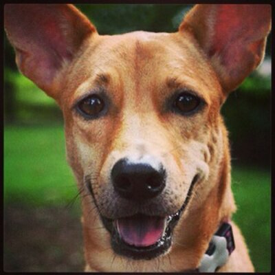 Profile Picture of Daniel Thwaites (@sqyre) on Twitter