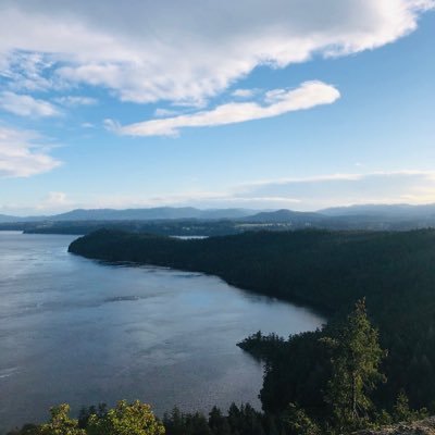 Profile Picture of Justin Williams-Sylvester (@JustinW77766487) on Twitter