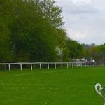 Profile Picture of ester moore (@estermoore15) on Instagram