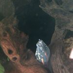 Profile Picture of Jonas Smith (@jonas_smith_87) on Instagram