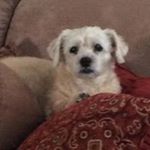 Profile Picture of Sandra Willette (@wiseminder1) on Instagram