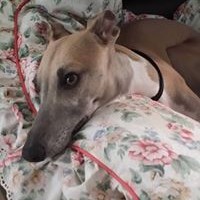 Profile Picture of Hazel Leafe (@hazel-leafe) on Quora