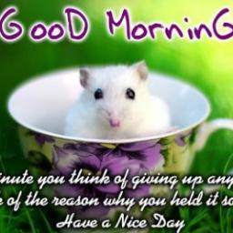 Profile Picture of Manish Puri (@manishpuri33) on Twitter