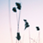 Profile Picture of Cody Buffington (@codycopenhagen) on Flickr