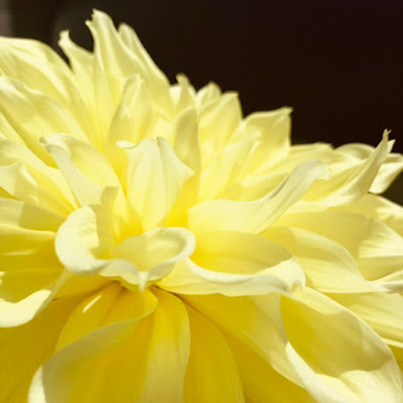 Cheese feed Feed cheese - Poshmark Profile Picture of Cheese feed Feed cheese (@ichigo_001) on Poshmark