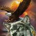 Profile Picture of Omar Almeyda (@omar.almeyda.733) on Facebook