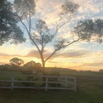 Profile Picture of Cody Bullard (@cjbullard079) on Instagram