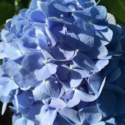 Profile Picture of Kathy Fennell (@kathfenn1) on Twitter