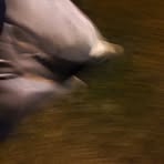 Profile Picture of Mateusz Rapek (@Mateusz-Rapek) on Facebook