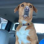 Profile Picture of Gary Granath (@gary.granath.5) on Facebook