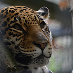 Profile Picture of Veronique De Vrieze (@veronique.dv) on Flickr