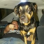 Chris Britton - Instagram Profile Picture of Chris Britton (@ls_1dopegoat) on Instagram