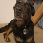 Profile Picture of Daniel Stolle (@Daniel-Stolle) on Facebook