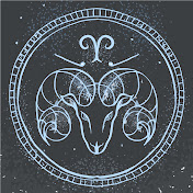 Profile Picture of Amir Moghaddam (@amirmoghaddam-fv2ii) on Youtube