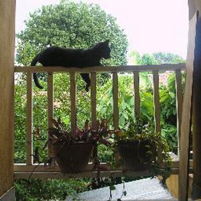 Hilary Nicholson - Twitter Profile Picture of Hilary Nicholson (@hilarycnja) on Twitter