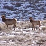 Profile Picture of Leonard Kennedy (@leonard.kennedy.5) on Instagram