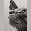 Profile Picture of BrianFranco (@parisaxinkg) on Tiktok