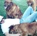Profile Picture of Craig Borchardt (@craig.borchardt.104) on Facebook